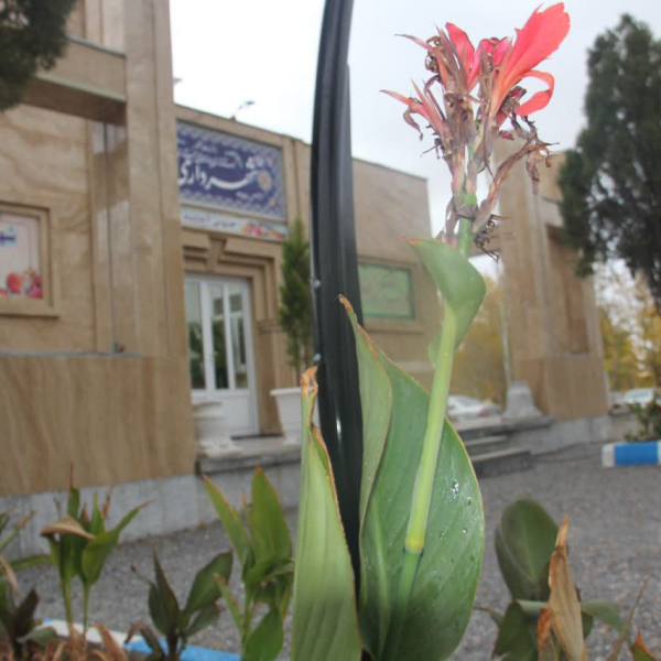 shben (4) شهردای بن